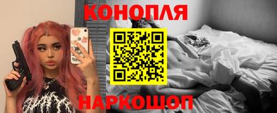 сатива Краснодар