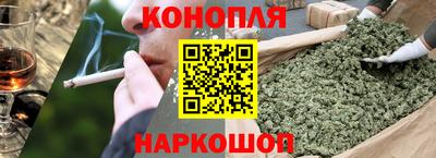 сатива Краснодар