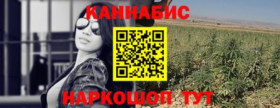 индика Краснокаменск