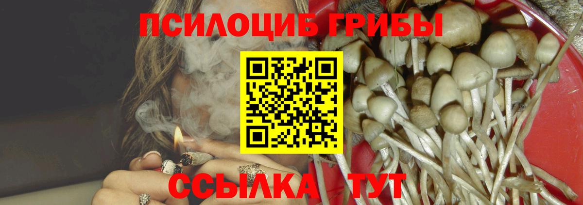 Кудрово  Псилоцибиновые грибы Psilocybine cubensis  Вход с VPN  Галлюциногенные грибы мухоморы 